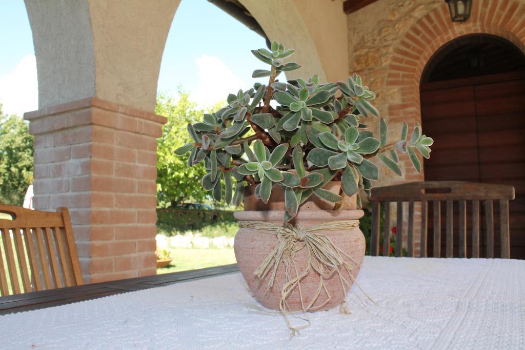 Agriturismo Poggio Della Rosa Amelia Eksteriør billede